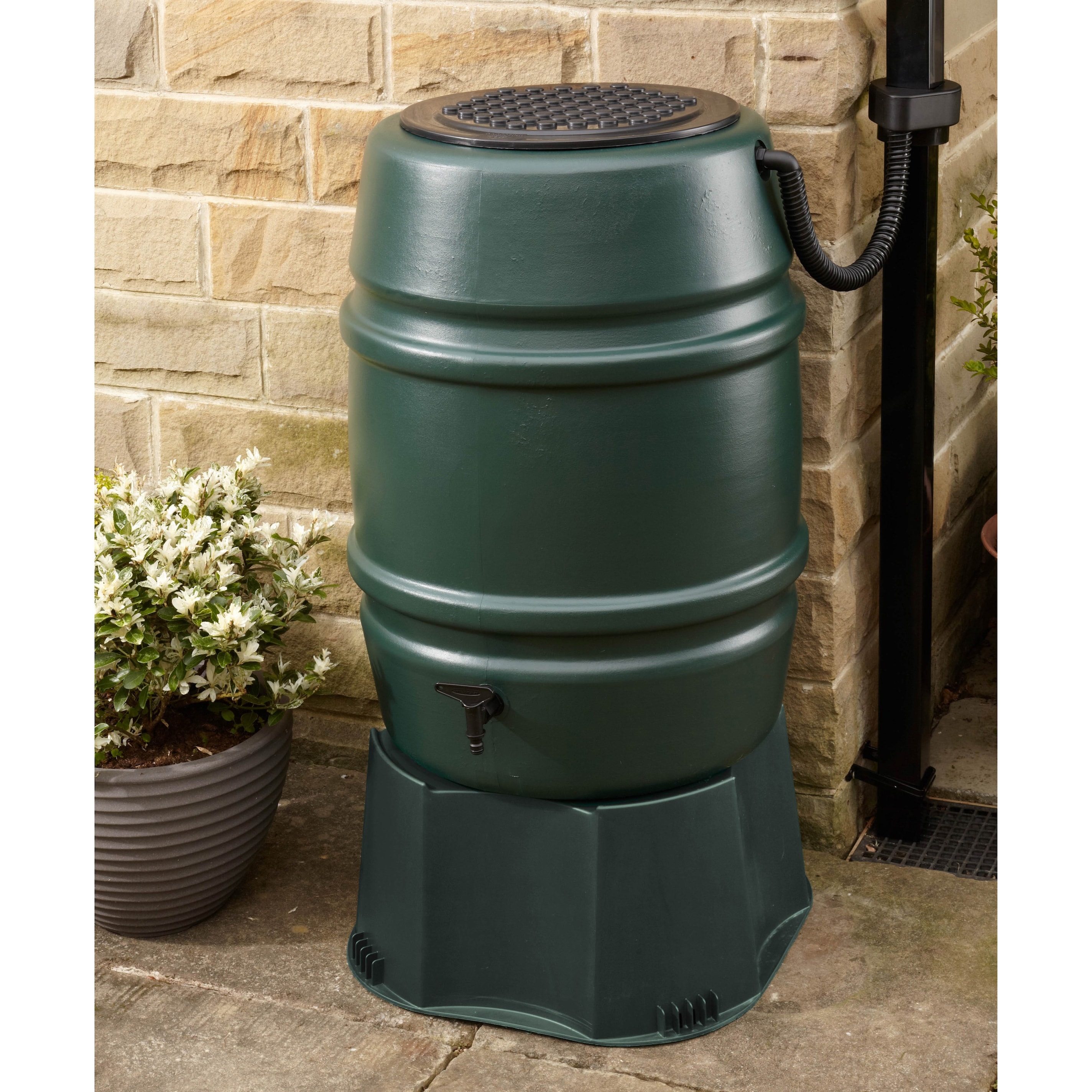 Product options image