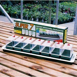 Buy Super 7 Windowsill Electric Propagator Delivery By Crocus