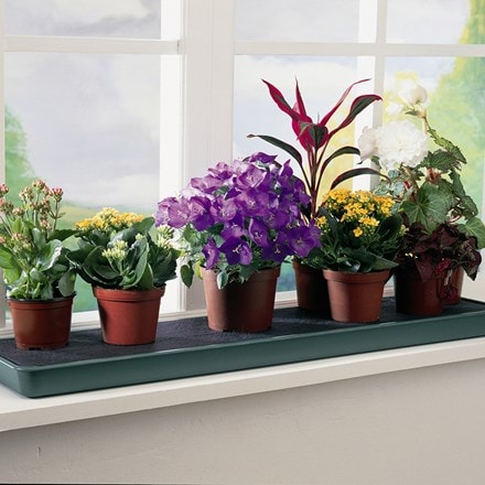 Self watering windowsill plant tray