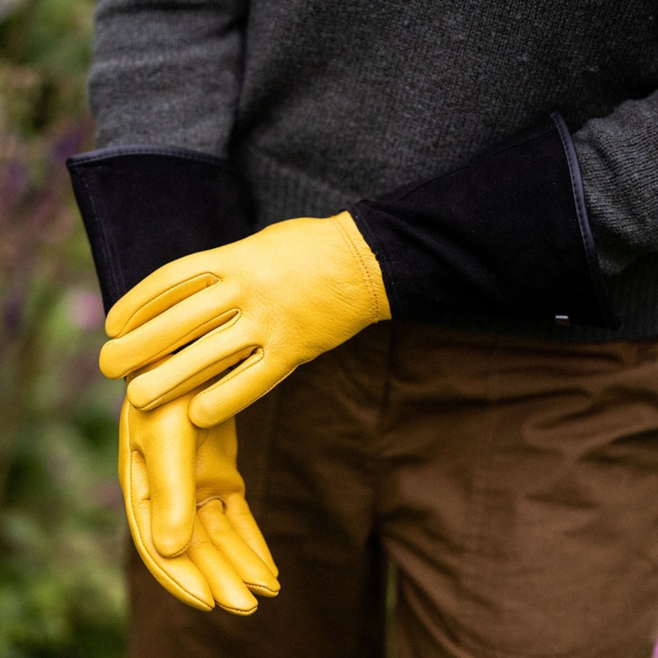 RHS gold leaf tough touch gloves