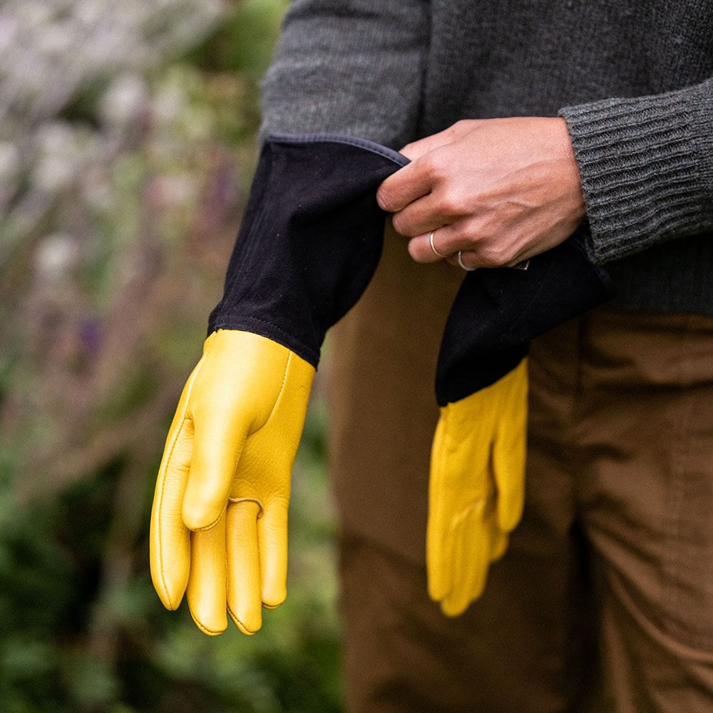 RHS gold leaf tough touch gloves