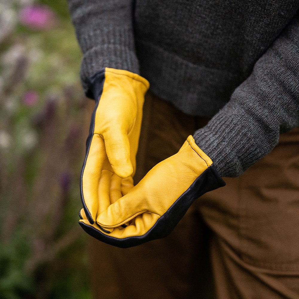 RHS gold leaf dry touch gloves