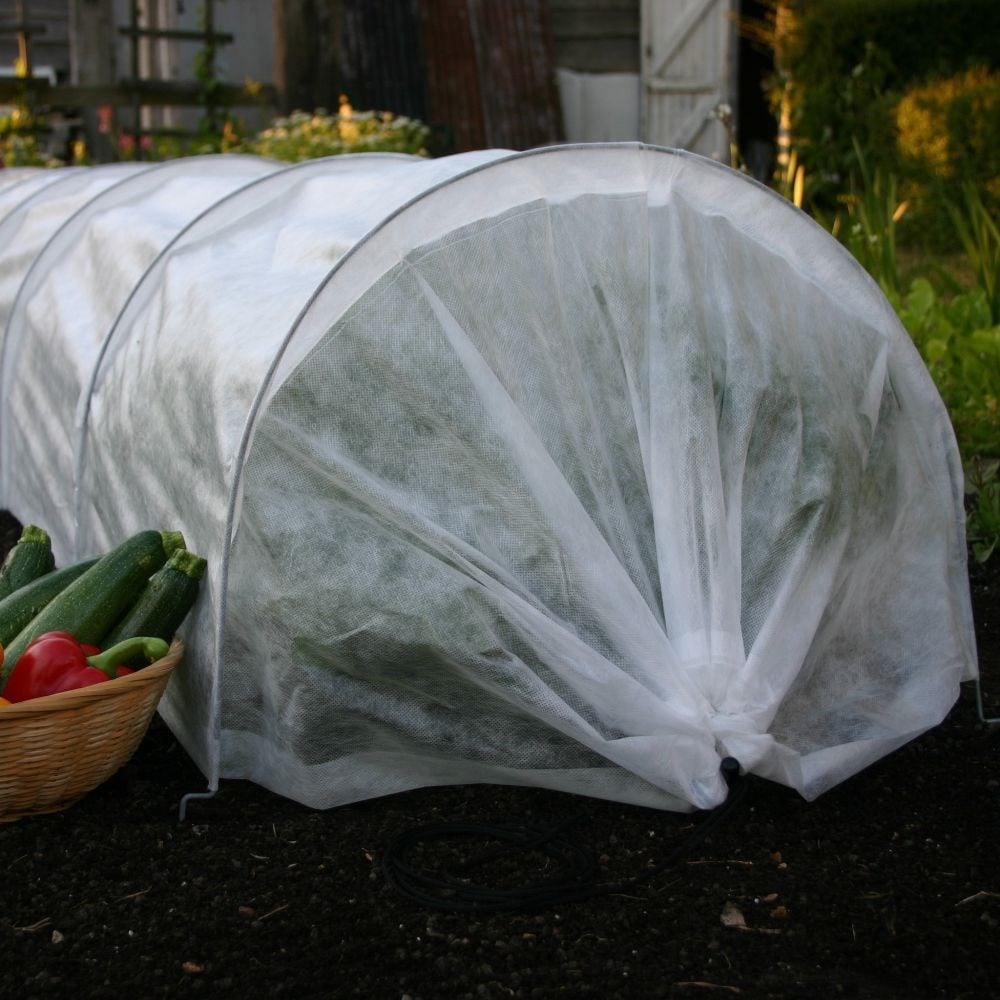 Product options image