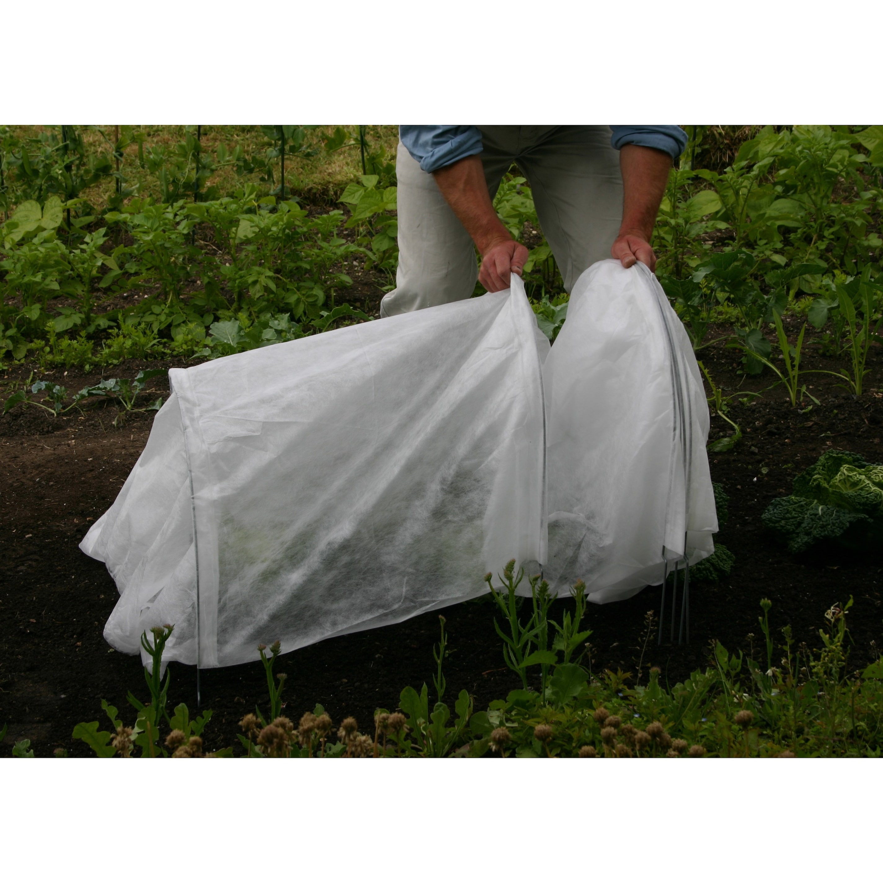 Buy Giant easy fleece tunnel: Delivery by Crocus