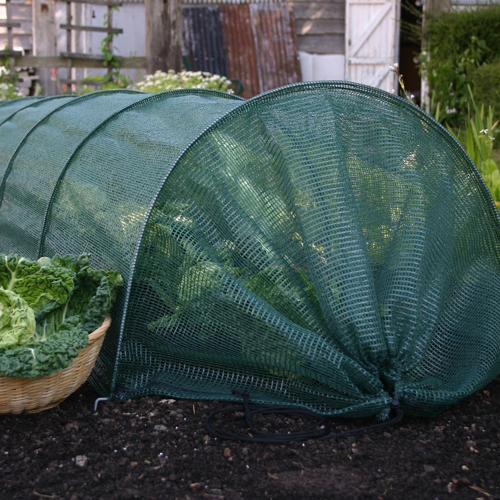 Product options image