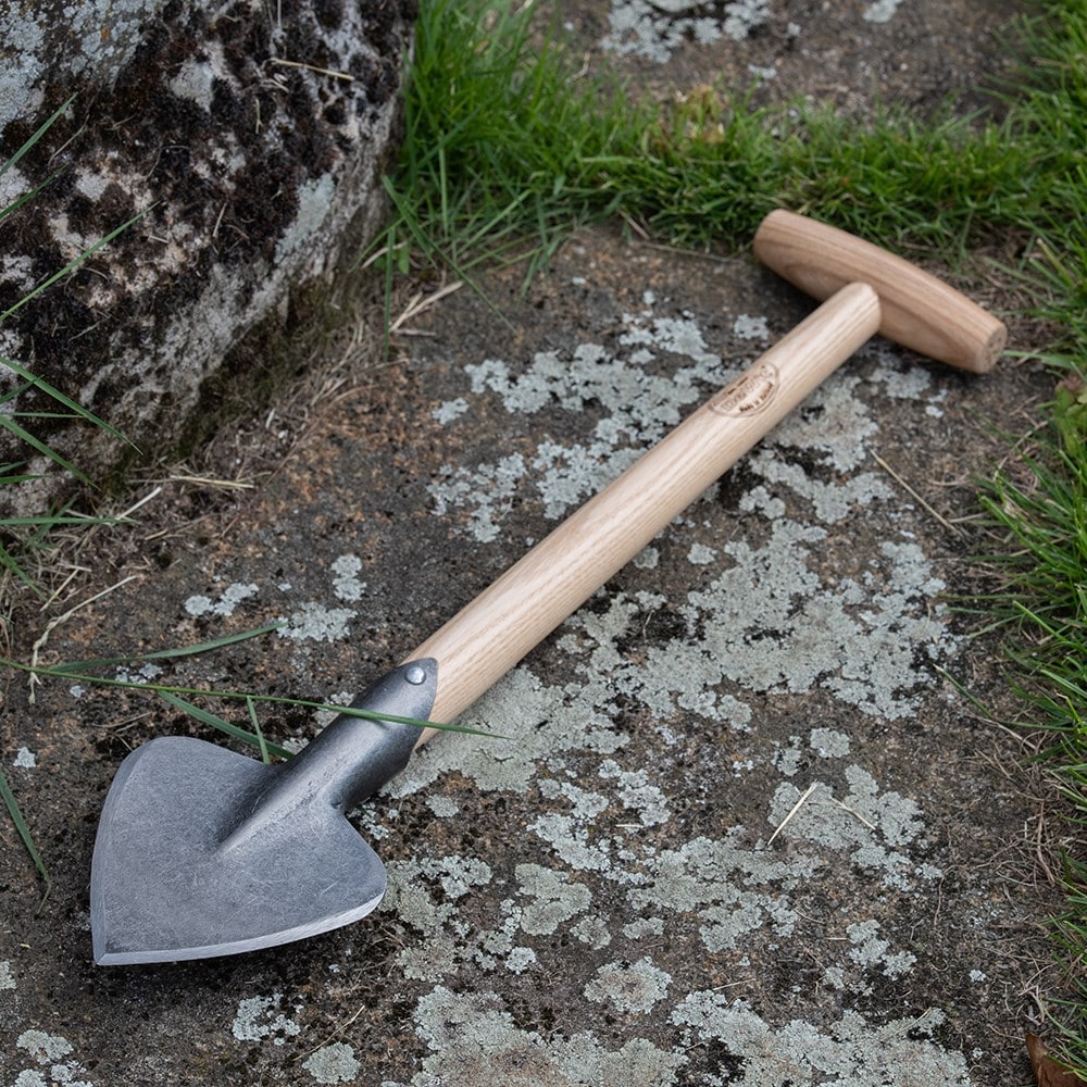 Product options image