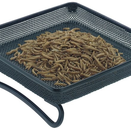 Mesh ground feeder tray