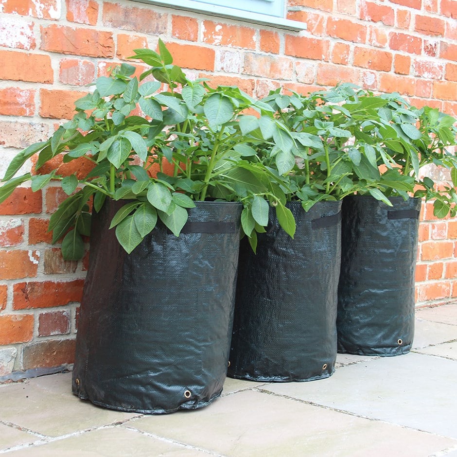 Potato planter bags - set of 3