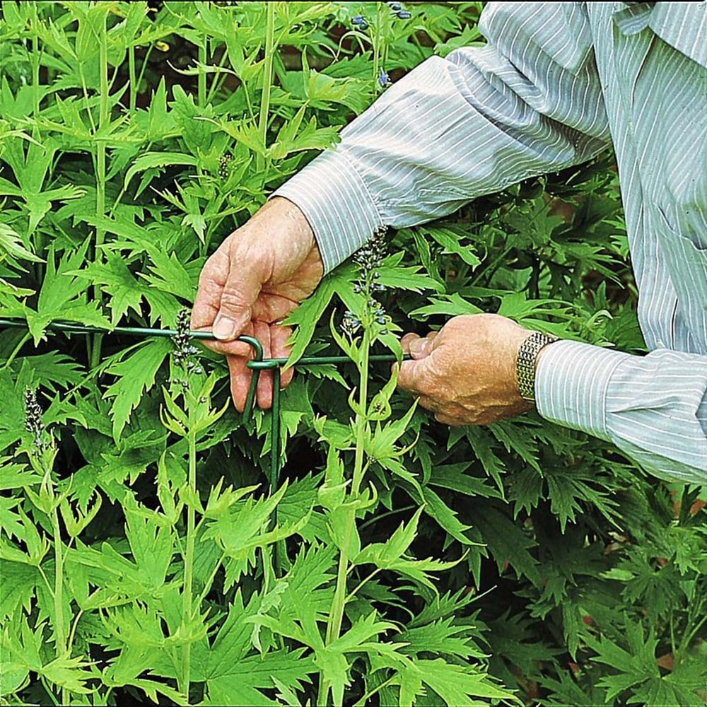 Plant link stakes - set of 6