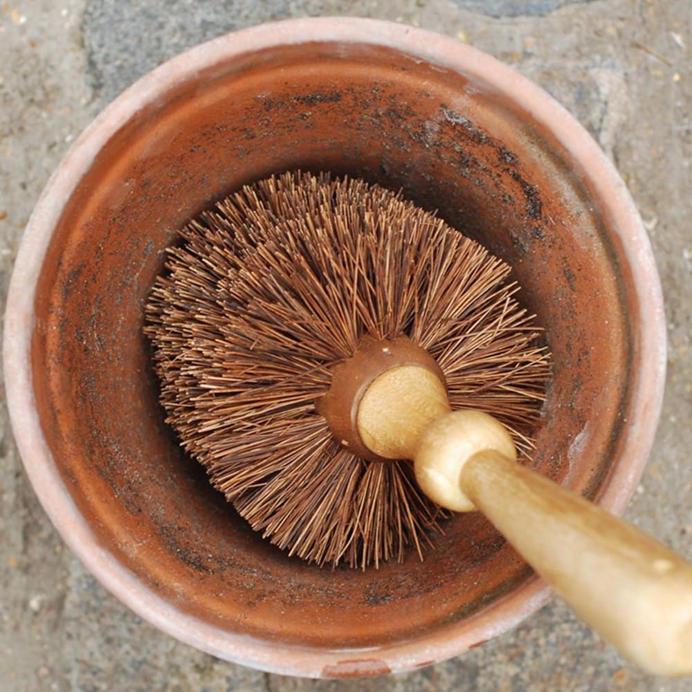 Product options image