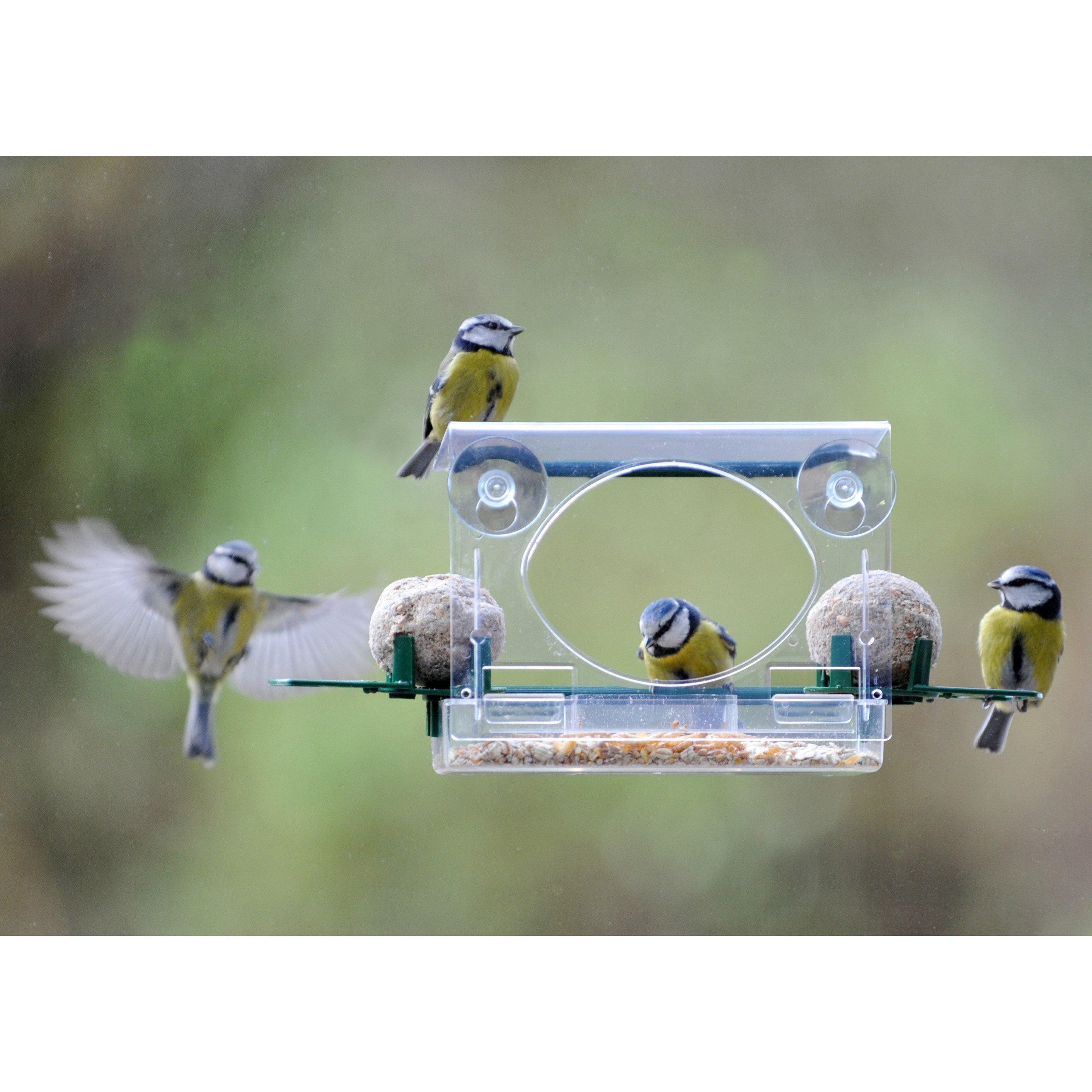 Complete window feeder for birds