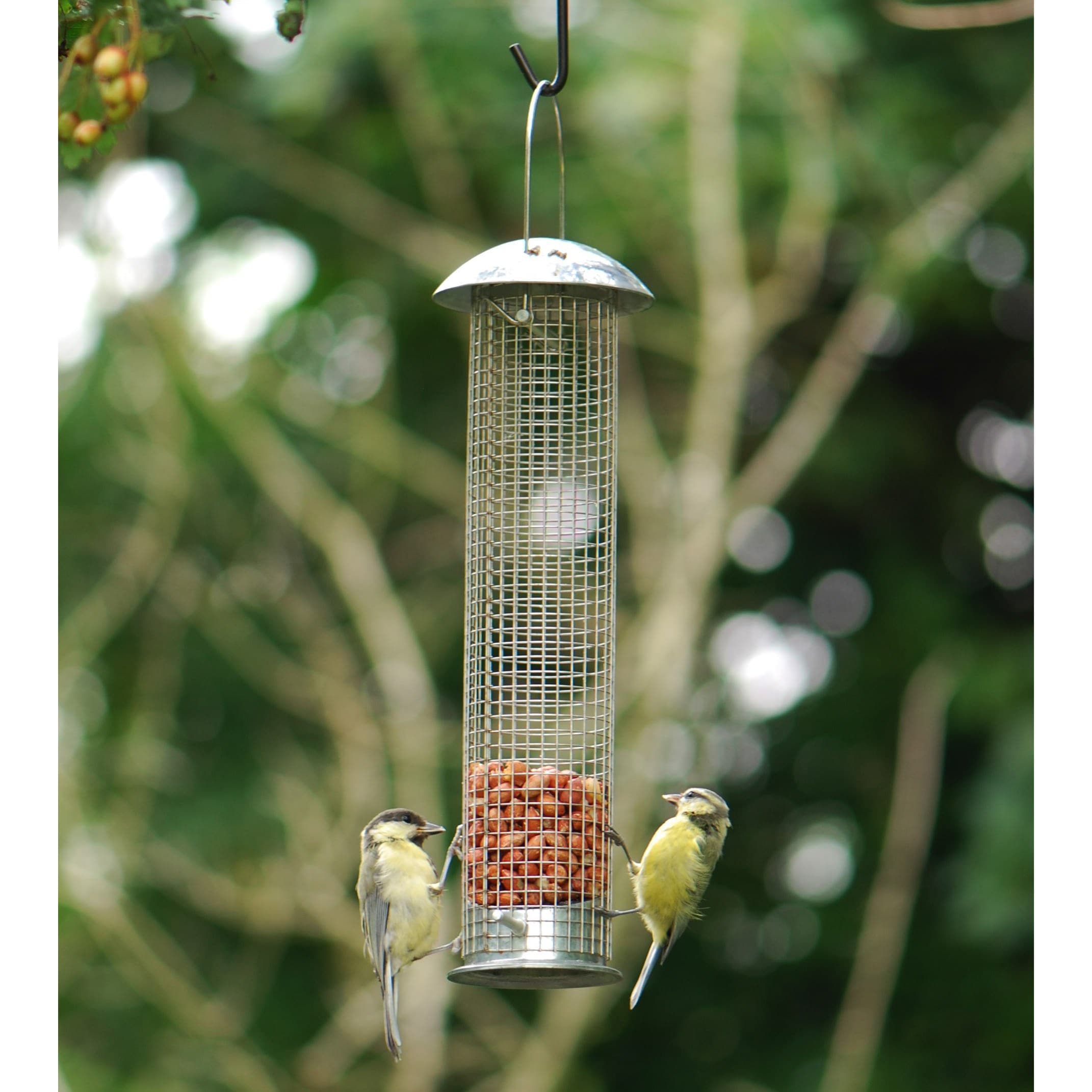 Product options image