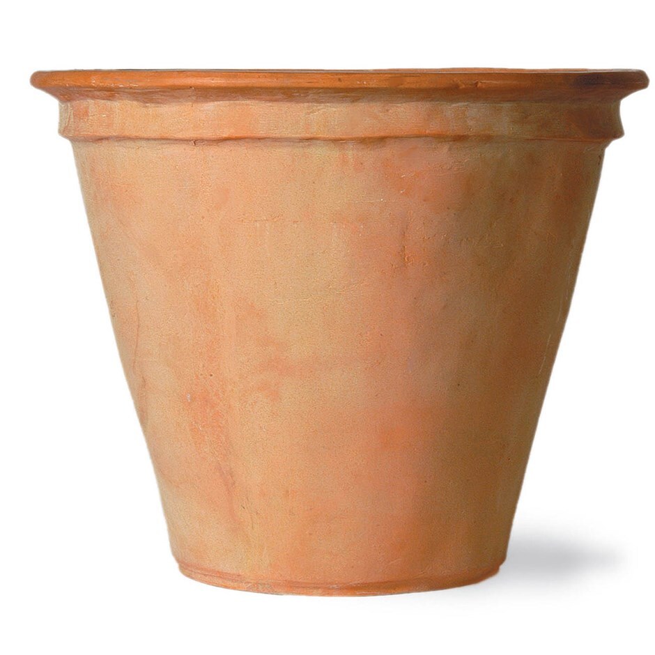 Buy Premium plain lightweight pot Delivery by Crocus