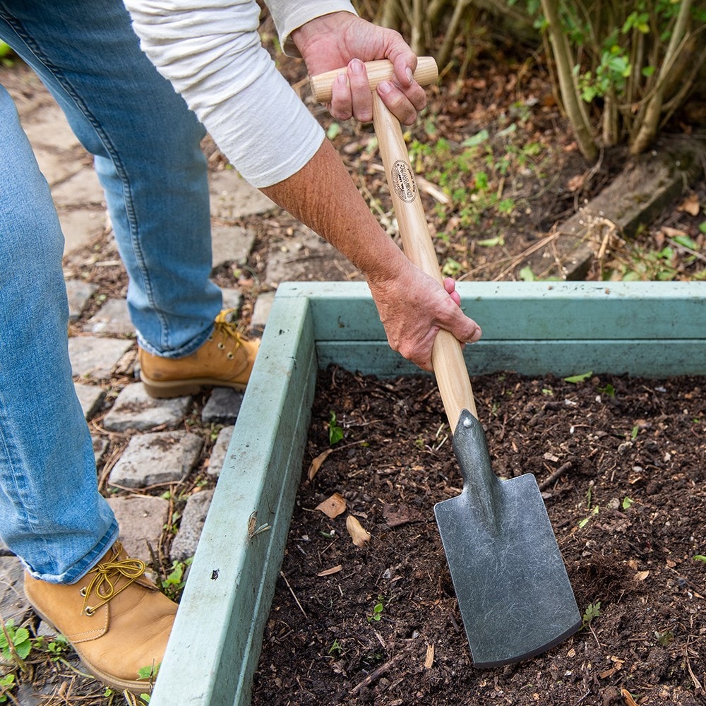 Product options image