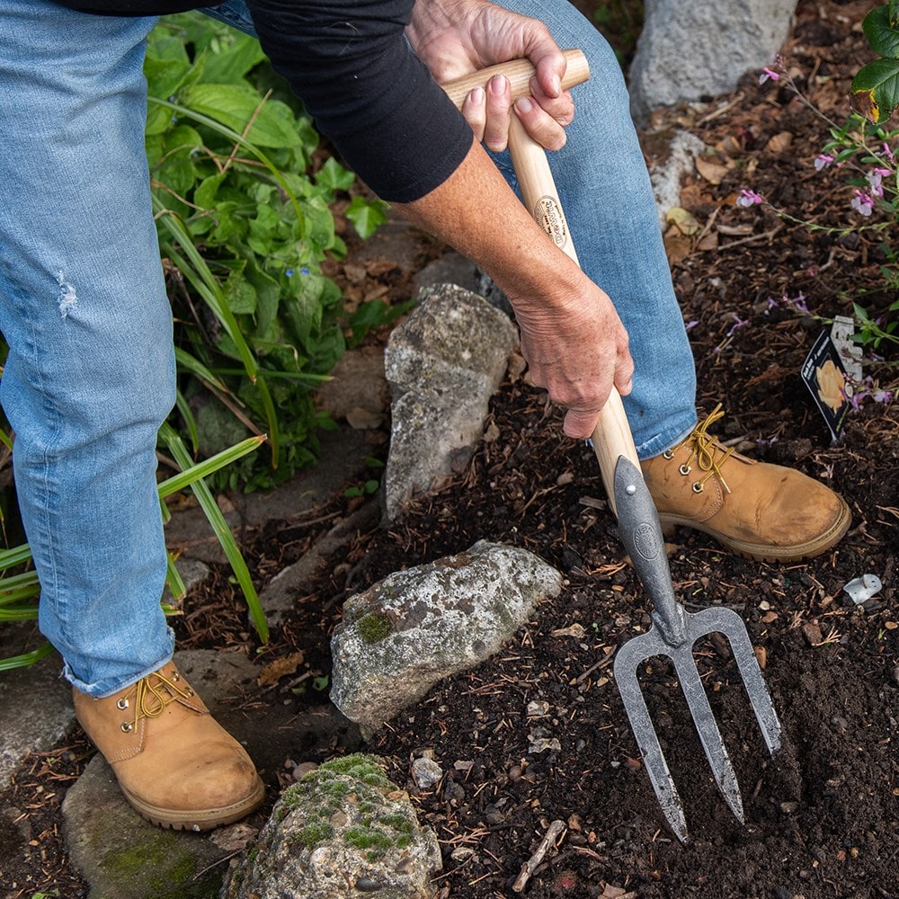 Product options image