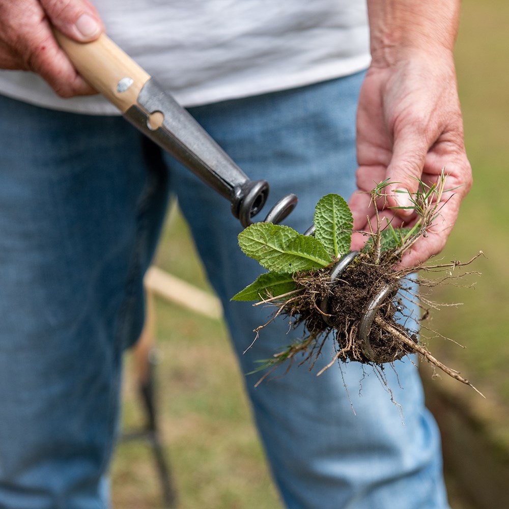 Product options image