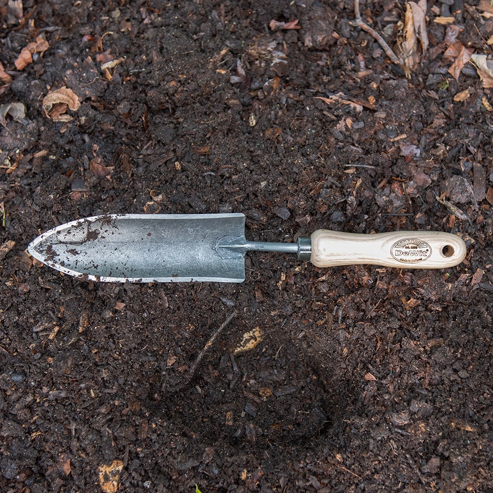 DeWit transplant trowel