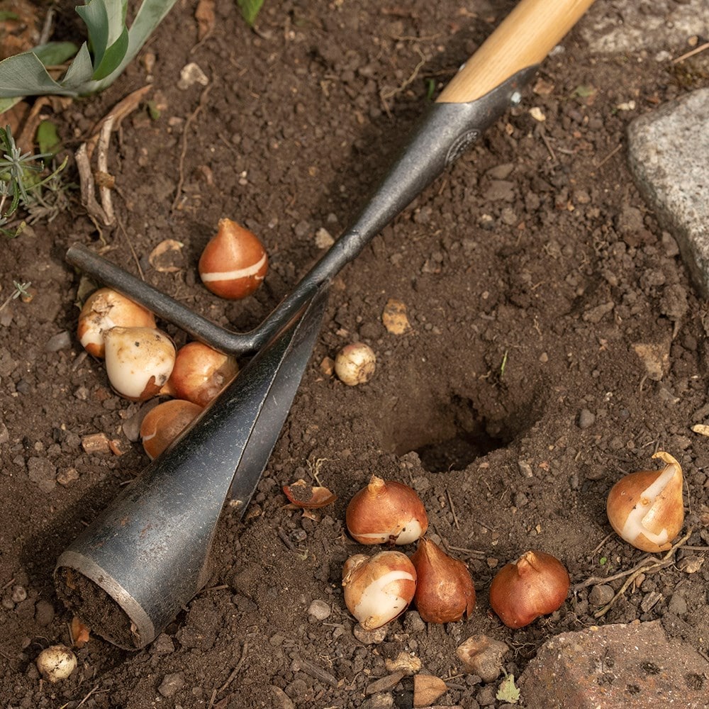 Bulb outlet planter tool
