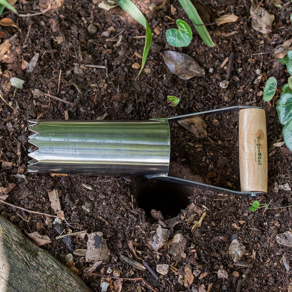 RHS Burgon and Ball hand bulb planter