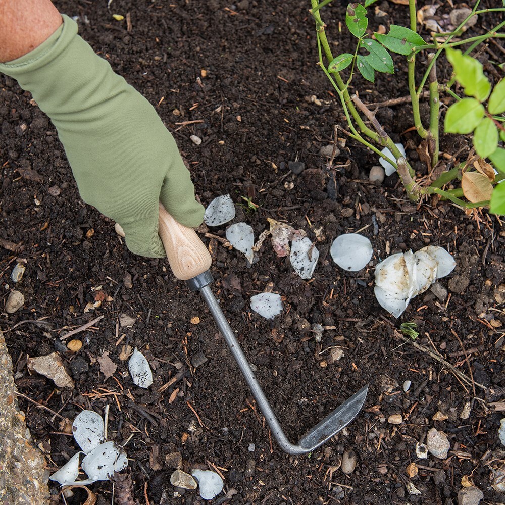 Cape clearance cod weeder