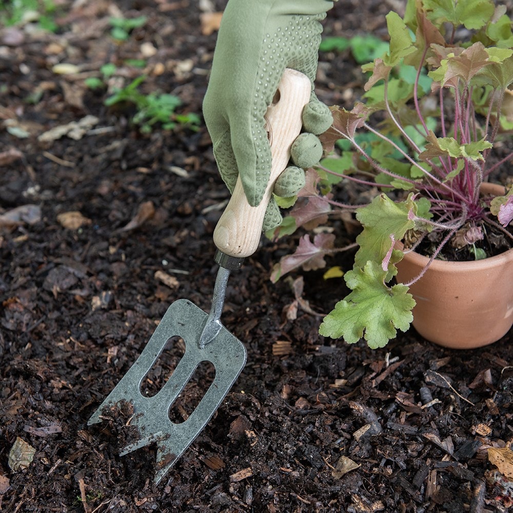 Product options image