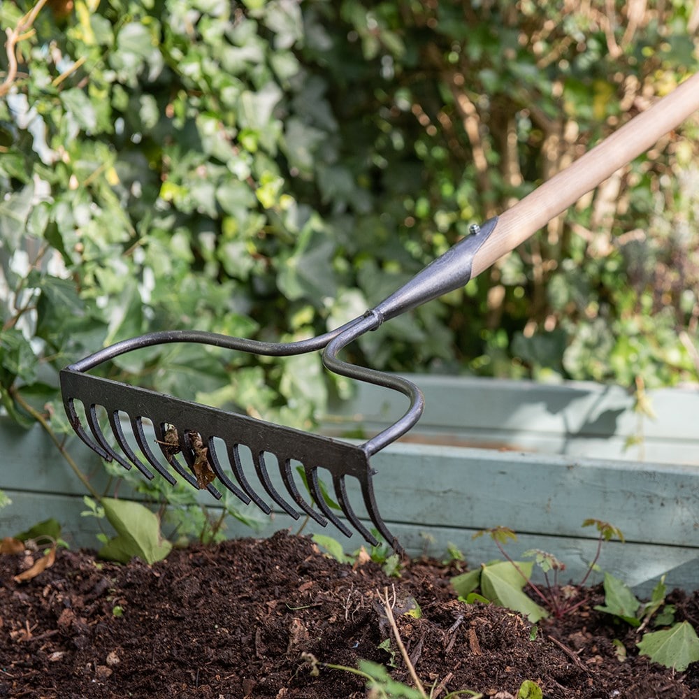 Product options image