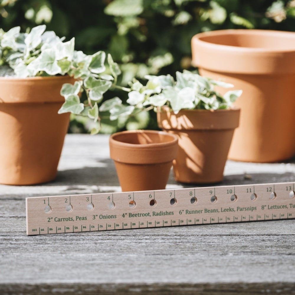 Product options image