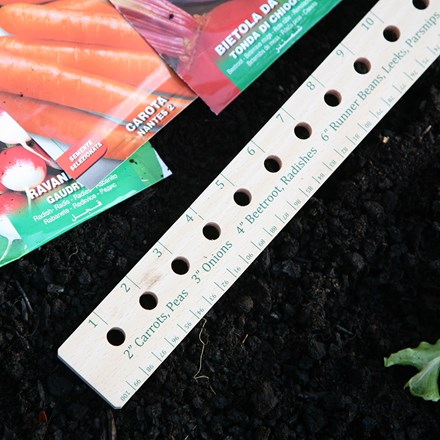 Seed and plant spacing rule
