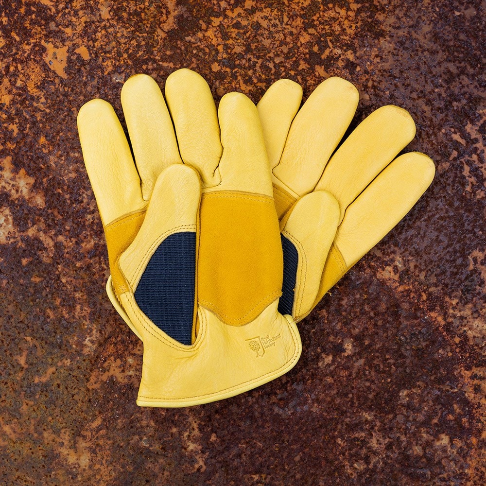 RHS gold leaf winter touch gloves