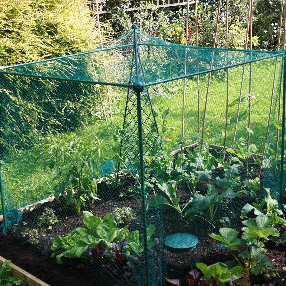 Product options image