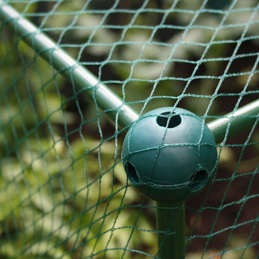 Product options image