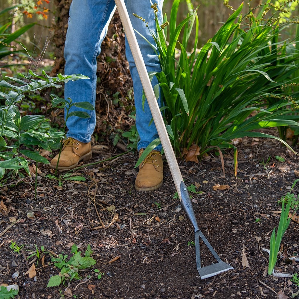 Product options image