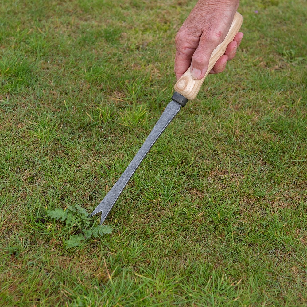 Product options image