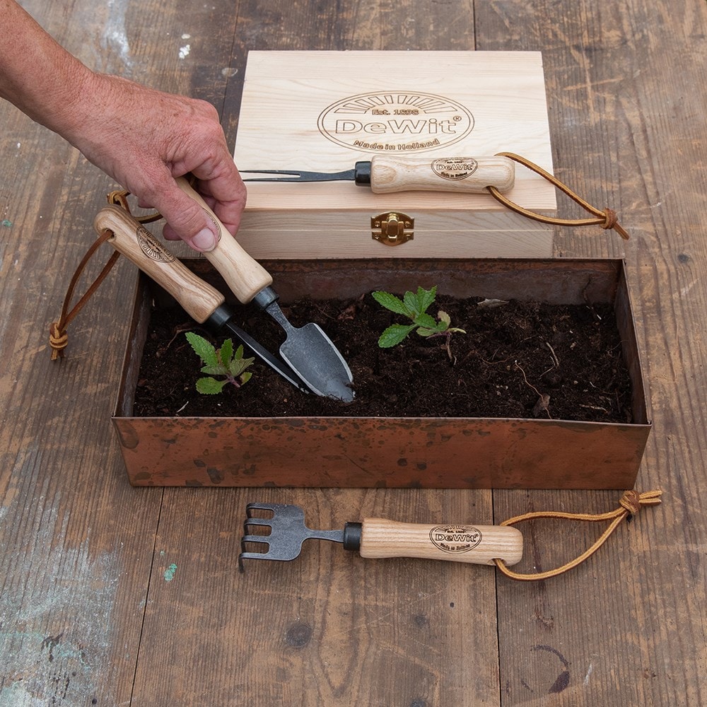 Product options image