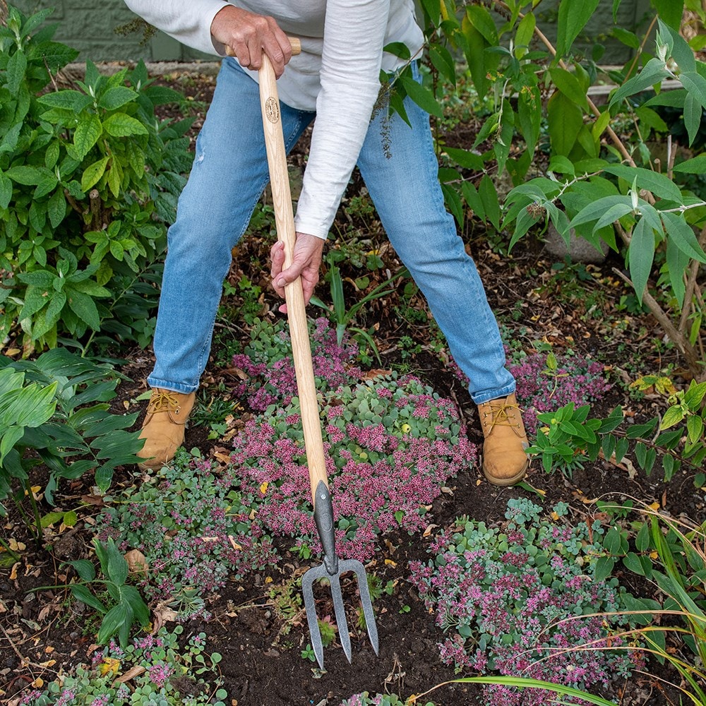 Product options image