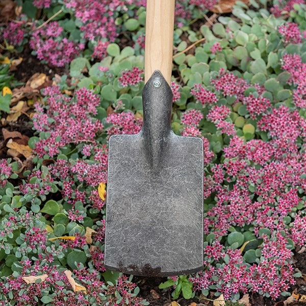 DeWit small spade with long T handle