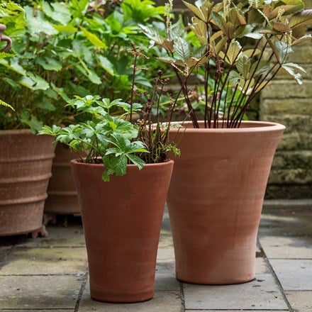 Empoli terracotta lily pot