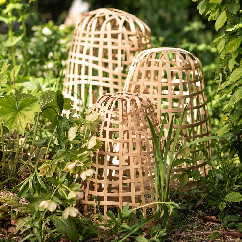 Product options image