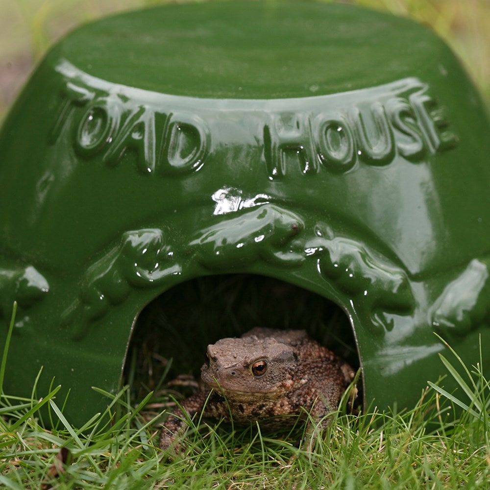 Product options image