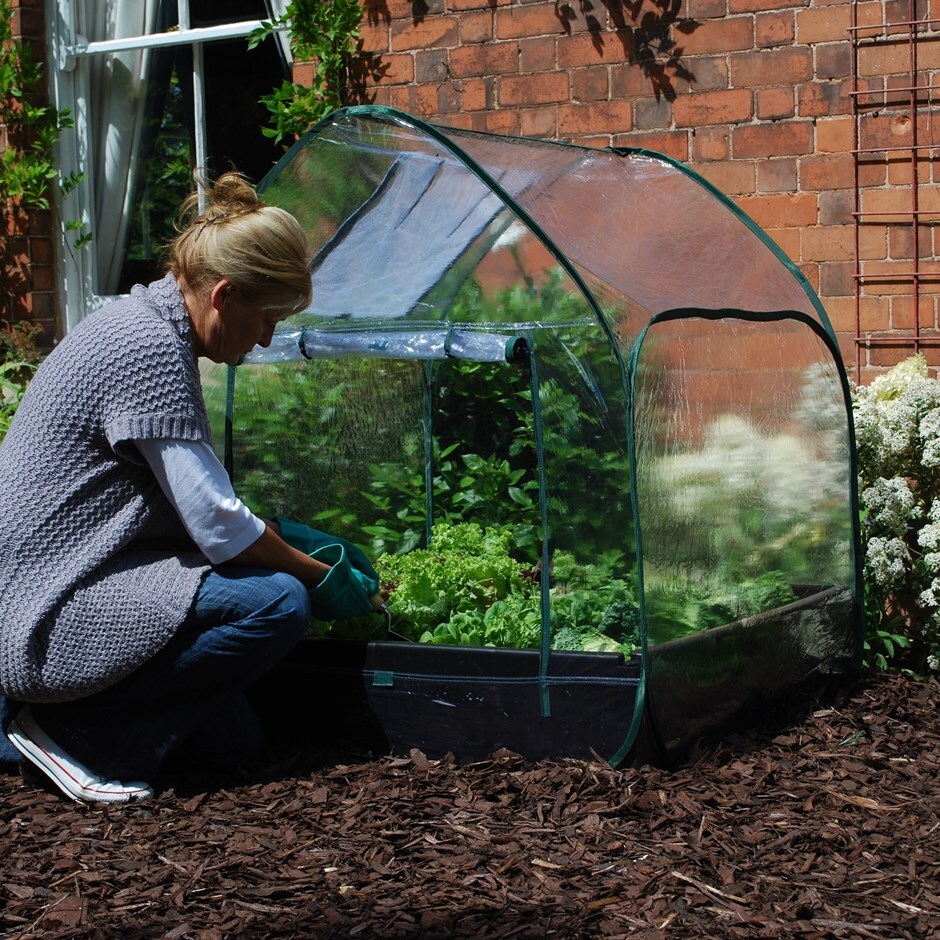 Buy Pop up cloche cover for grow bed: Delivery by Crocus