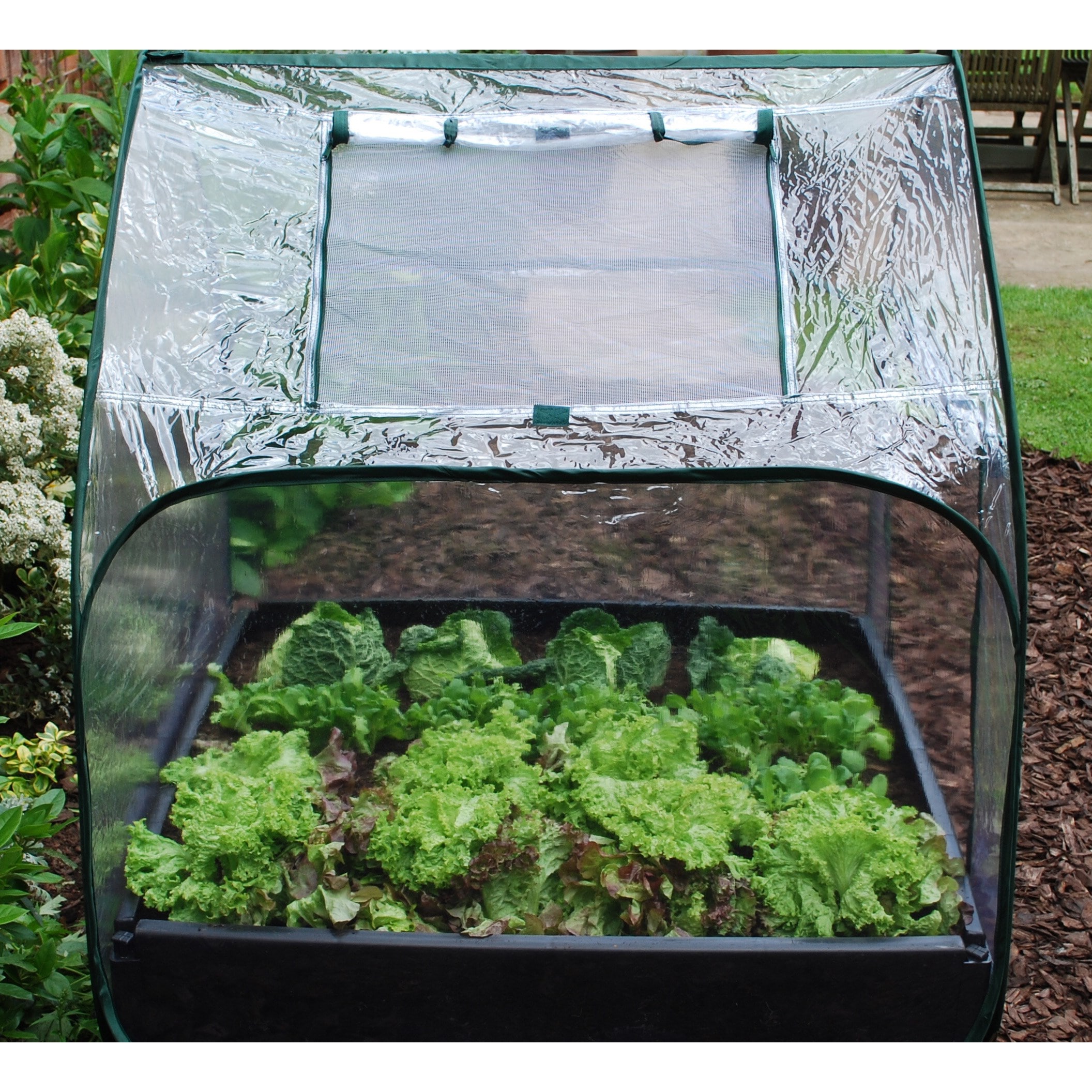 Buy Pop up cloche cover for raised bed Delivery by