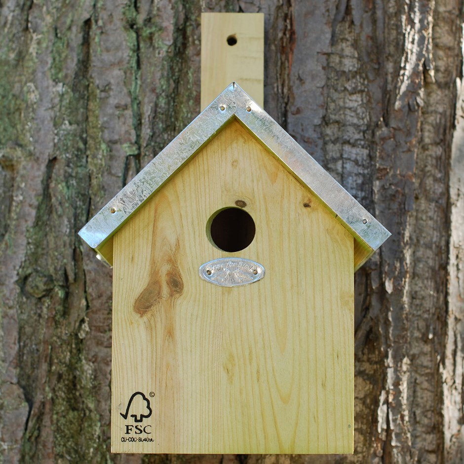 Buy Blue tit nesting box: Delivery by Crocus
