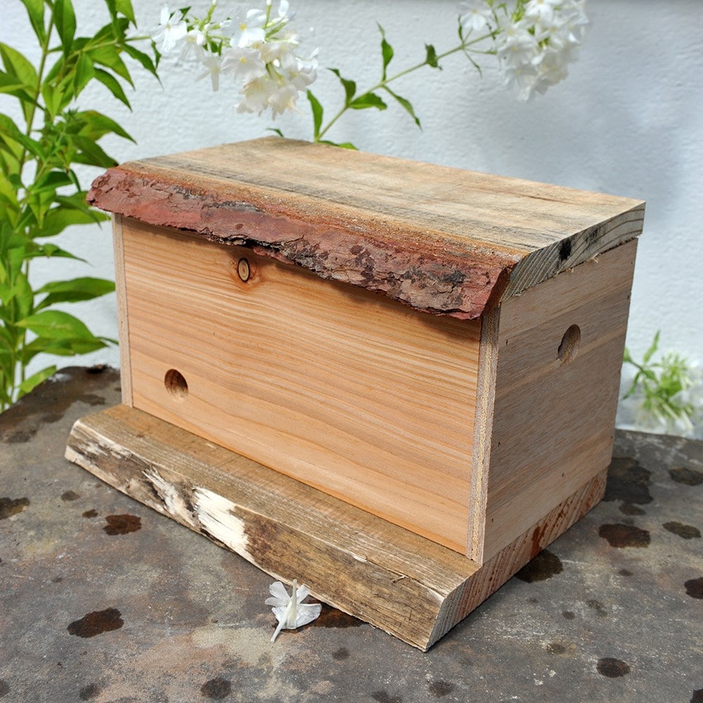 Product options image