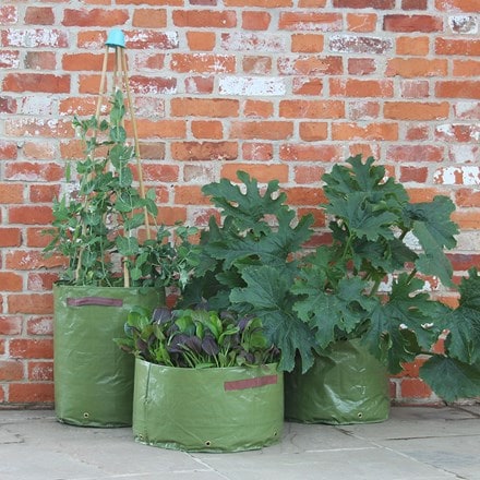 Vegetable patio planters