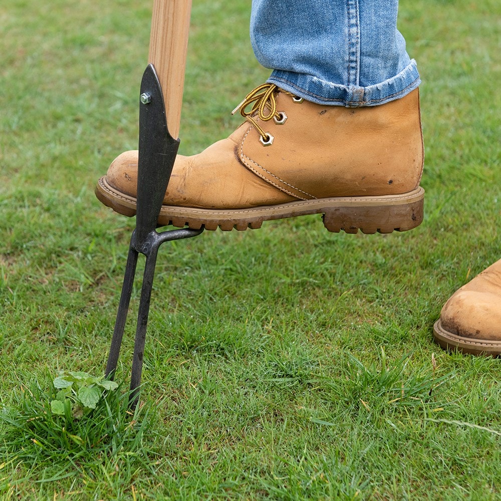 Product options image