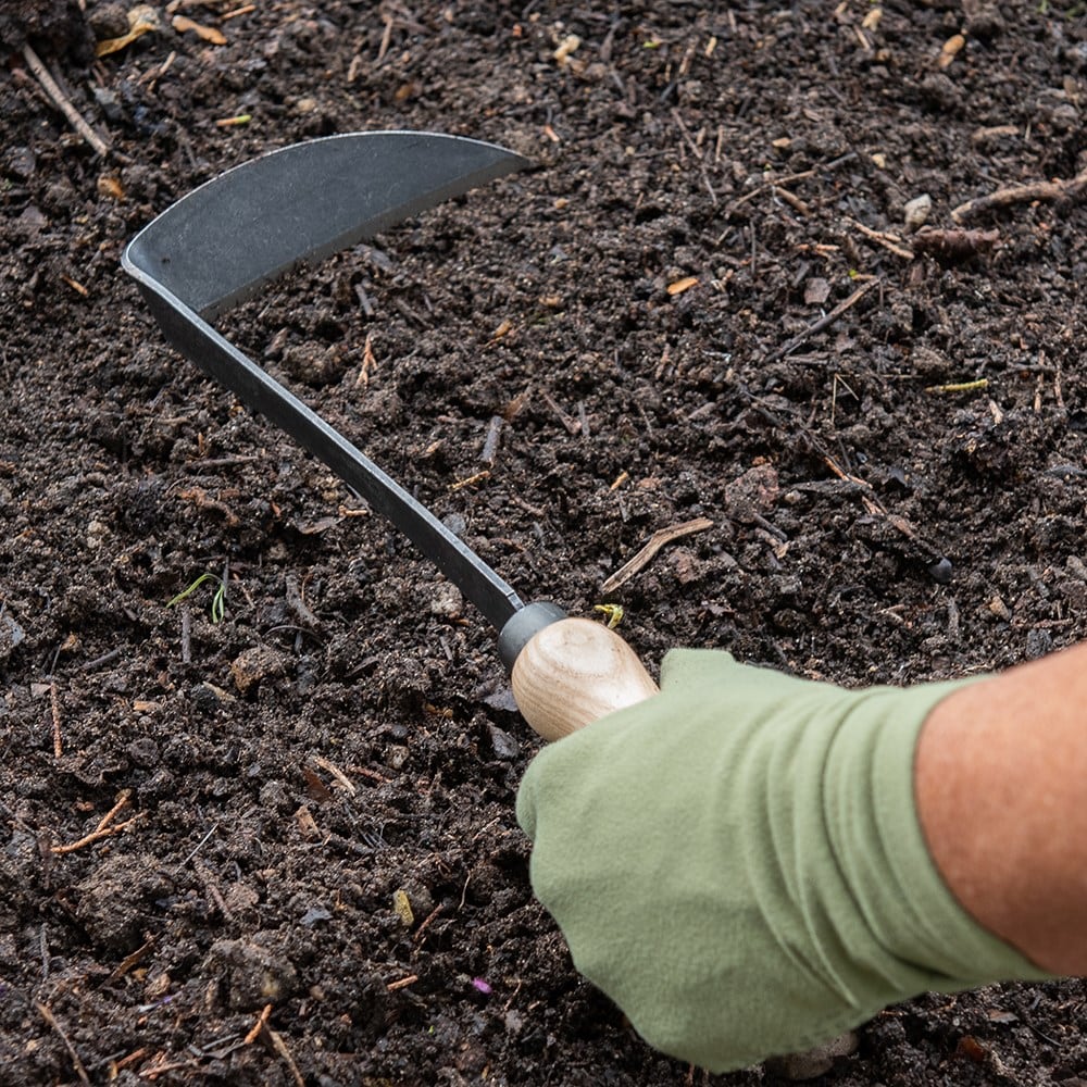 Product options image