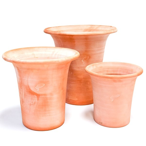 Terracotta flared rim pot