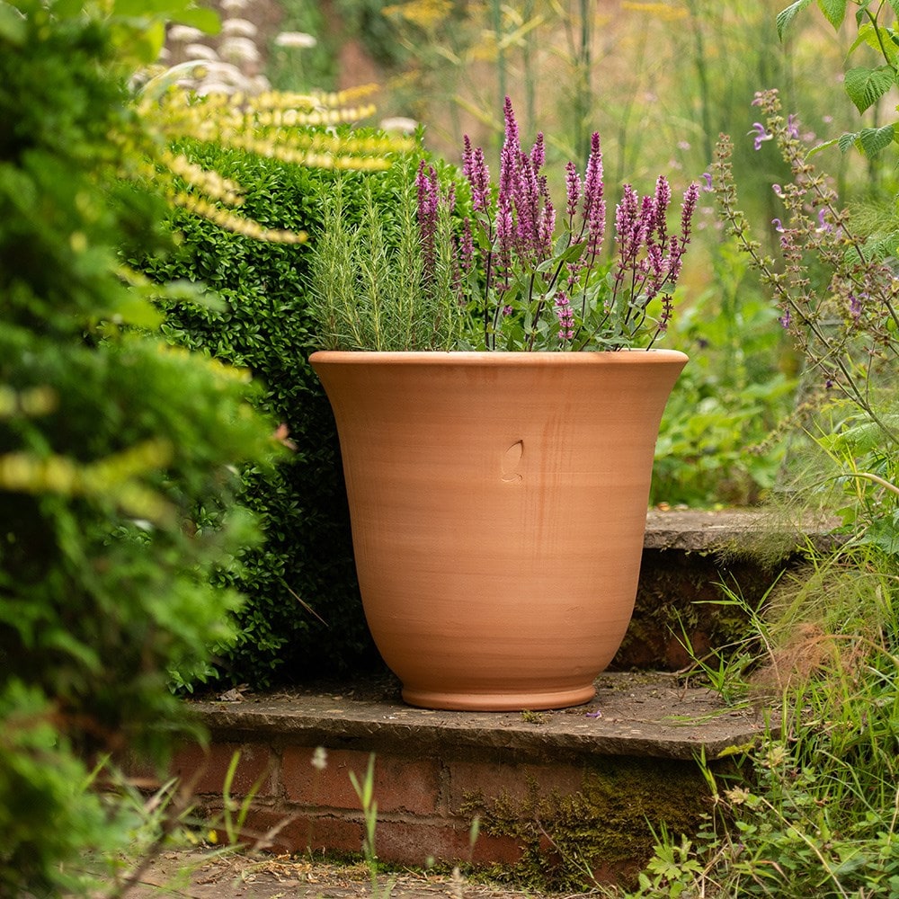 Terracotta perennial bell pot