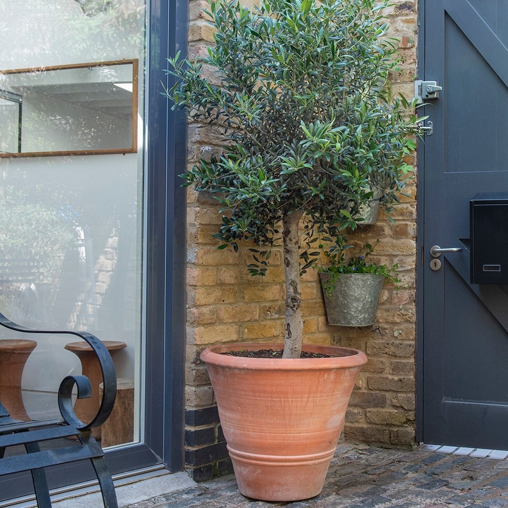 Product options image