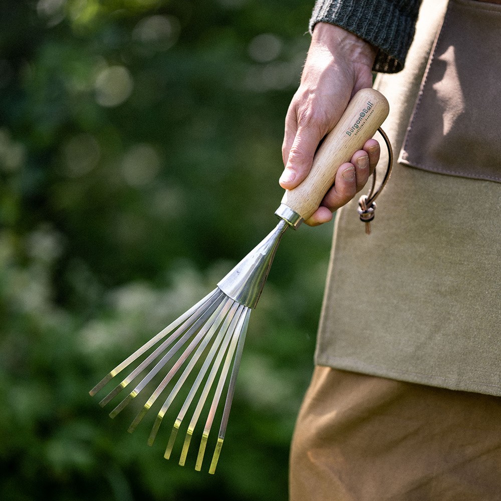 Product options image